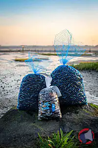 Rappel produit MOULES DE FILIERE DE L'ILE D'HOUAT sans marque (vrac étale poissonnerie) et L'ESTRAN à Pénestin (uvc sachet 1,5 Kg)