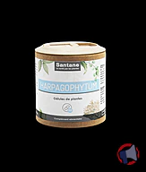 Rappel produit SANTANE SANTANE HARPAGOPHYTUM