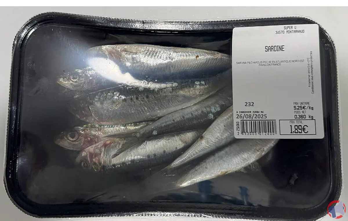 Rappel de sardine : informations importantes pour les consommateurs