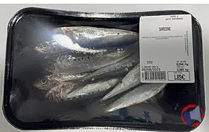 Rappel produit sardine