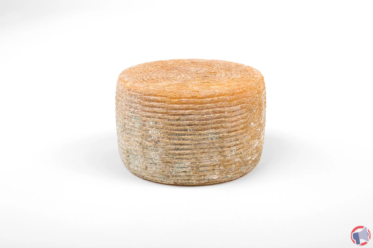 Rappel de produit : tommette de brebis corse de la SAS Fromagerie Pierucci