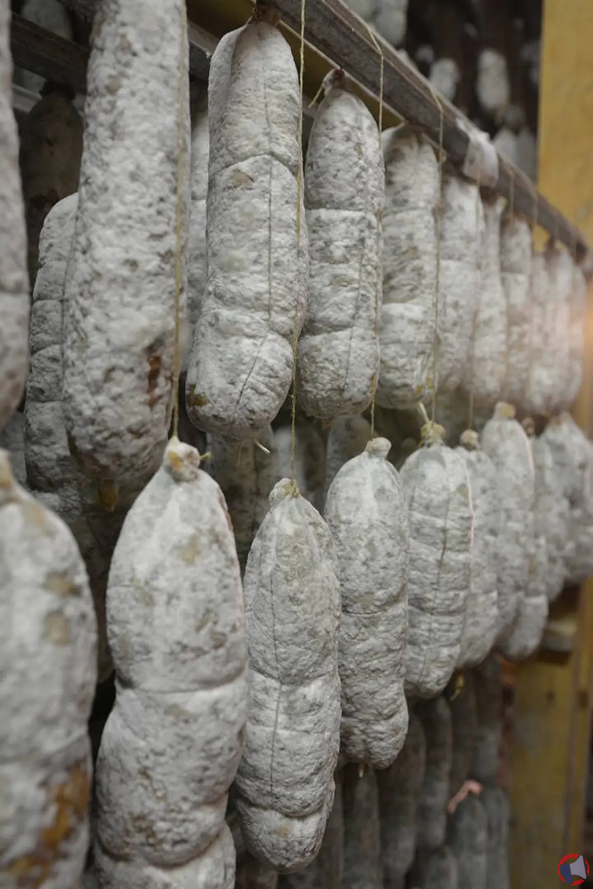 Rappel de produits : saucissons Moiroud contaminés par la listeria