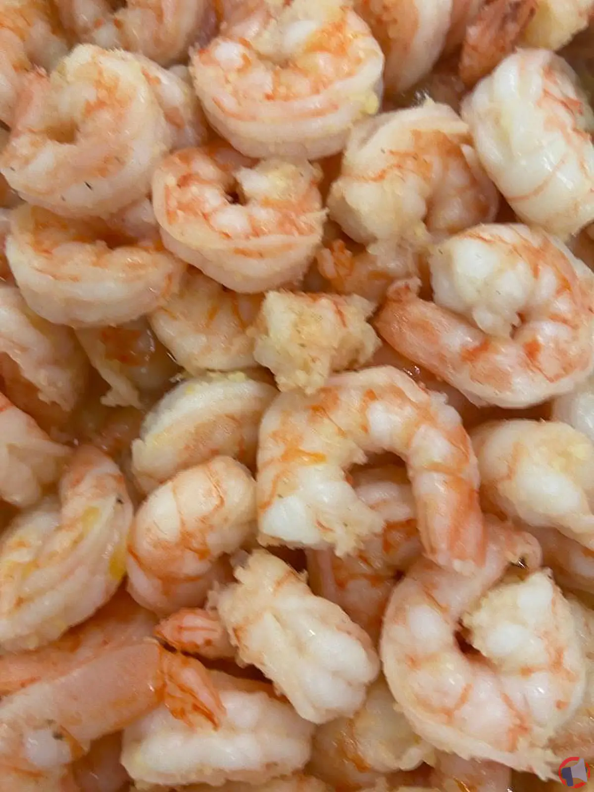 Rappel de crevettes créoles de la marque saveurs créoles : présence de listeria