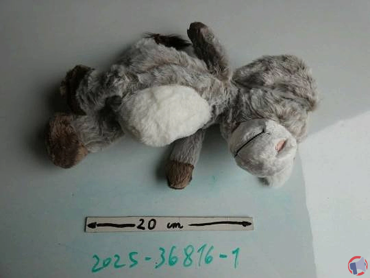 Rappel produit : shein peluche 12 pouces (style âne) — que faire