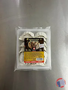 Rappel produit RAVIOLIS JAPONAIS AU POULET SURGELES SINGLY SURGELES