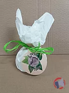 Rappel produit ORTIE DU TOINE 250G lait thermisé de vache SOCIETE LAITIERE DE VICHY (photo numéro 1)