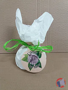 Rappel produit ORTIE DU TOINE 250G lait thermisé de vache SOCIETE LAITIERE DE VICHY