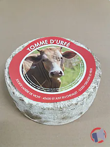 Rappel produit TOMME D'URFE au lait de vache thermisé SOCIETE LAITIERE DE VICHY