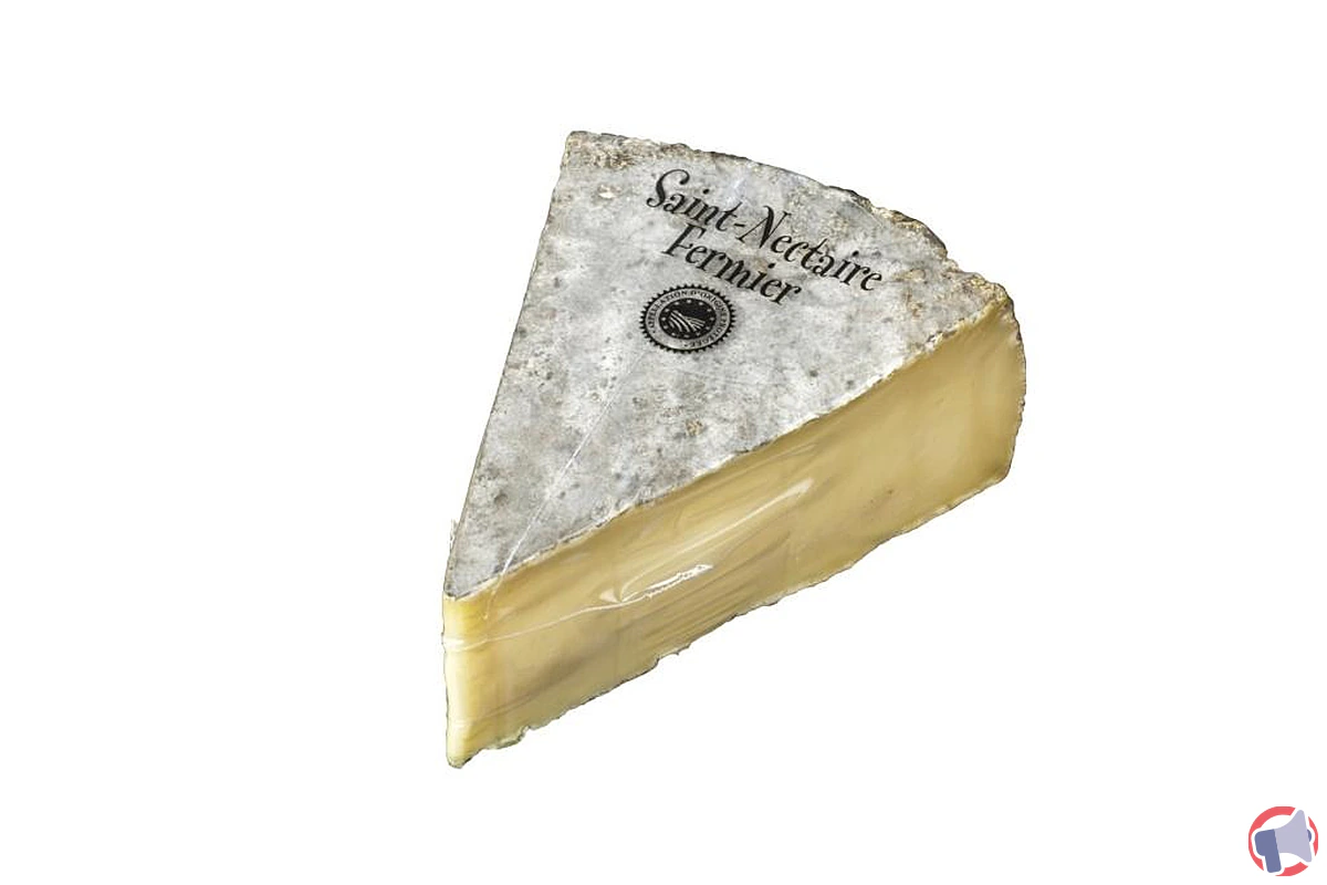 Rappel de saint-nectaire fermier aop : ce que vous devez faire si vous en avez à la maison