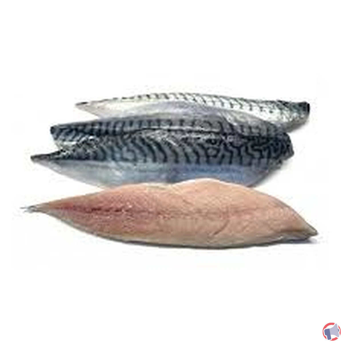 Rappel Super U Cestas : Filet de maquereaux – risques et conseils aux consommateurs