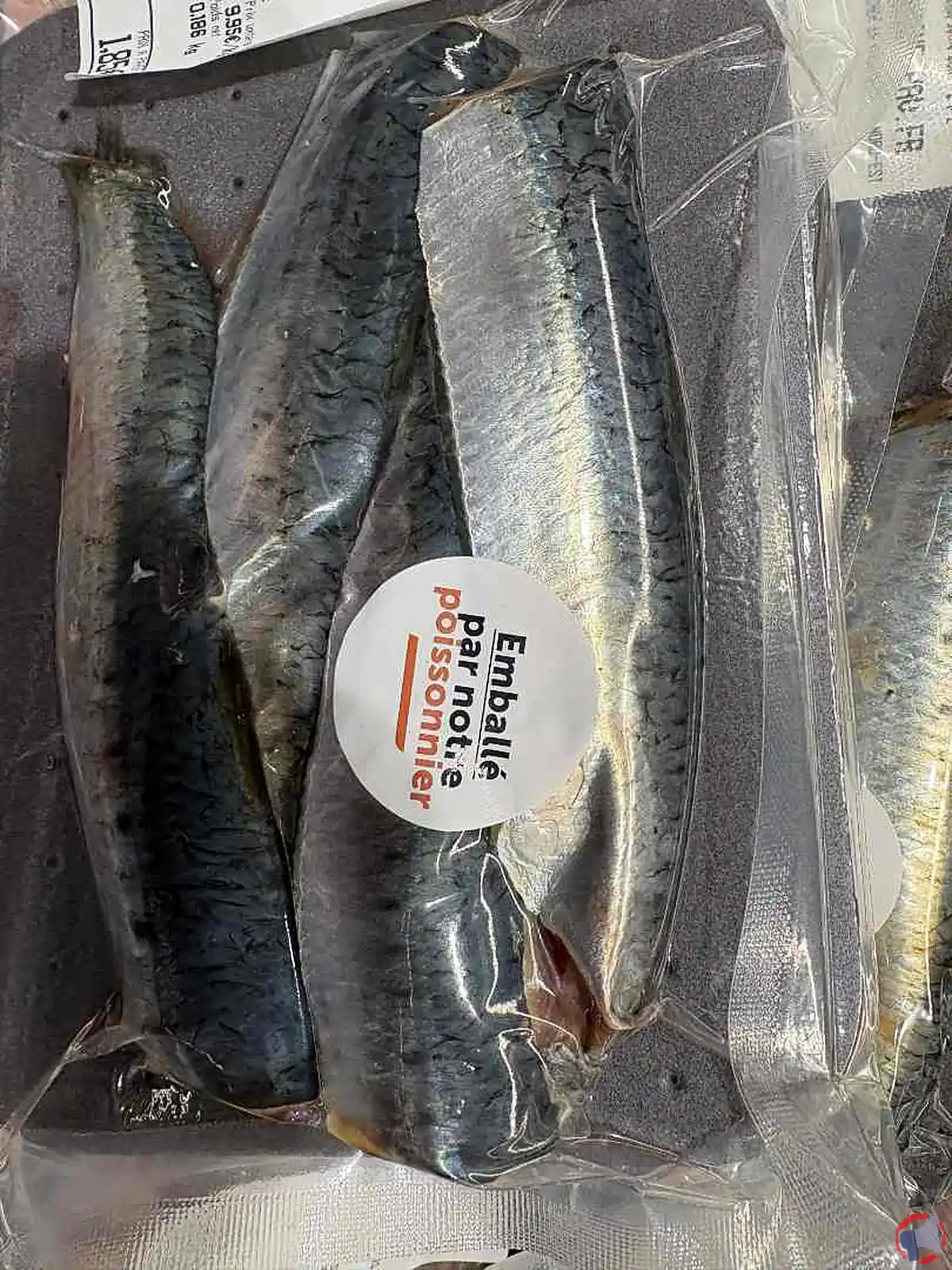 Rappel sur le filet de sardine emballé sous vide Super U