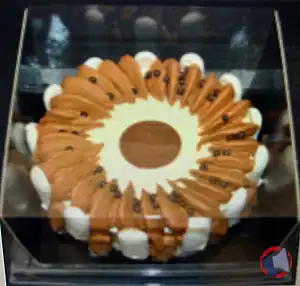 Rappel produit vacherin chocolat vanille 10 pers congelé SUPER U VERTOU