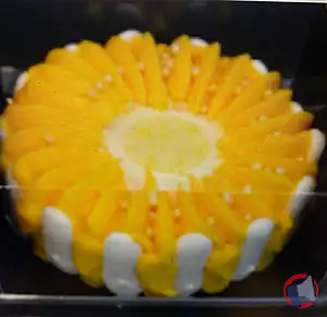 Rappel produit vacherin mangue passion vanille 10 pers congelé SUPER U VERTOU