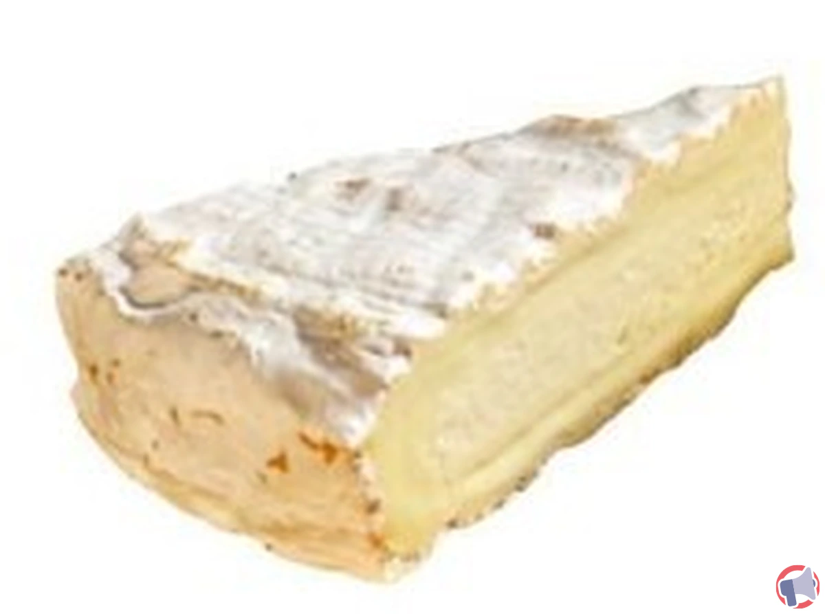 Rappel de brie melun aop « talley rand » : pourquoi arrêter de consommer ce fromage ?