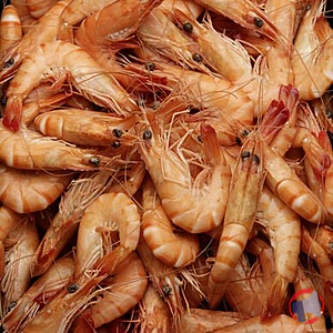 Rappel produit crevettes cuites 30/50 TINU'S