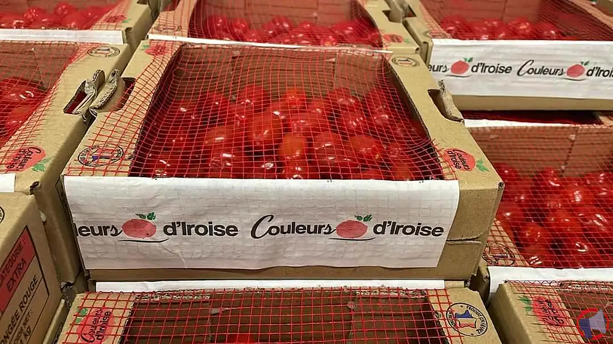 Rappel de tomates cerises vendues chez Lidl : dépassement des seuils de pesticides