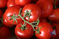 Rappel produit TOMATE GRAPPE 5KG (photo numéro 1)