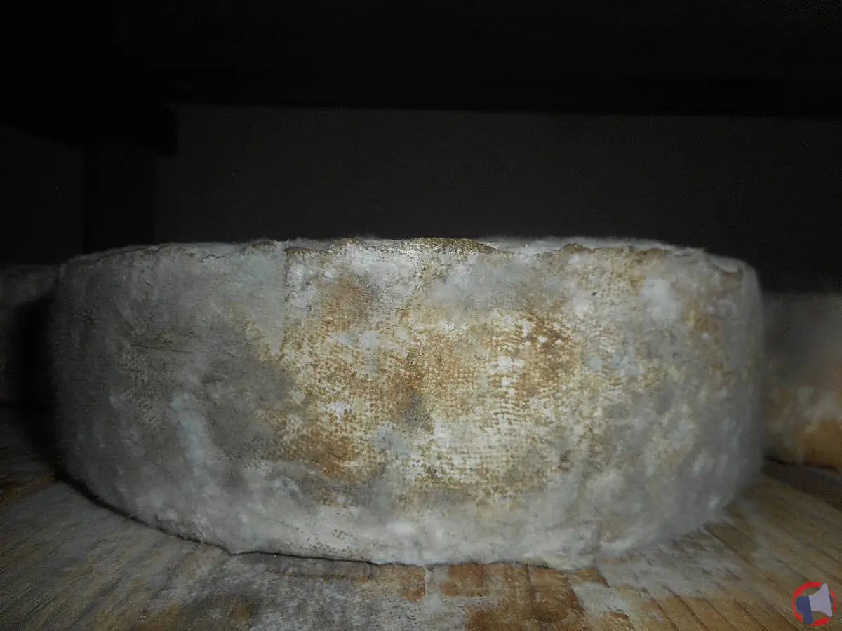 Tomme nature rappel : vérifier son fromage et agir rapidement