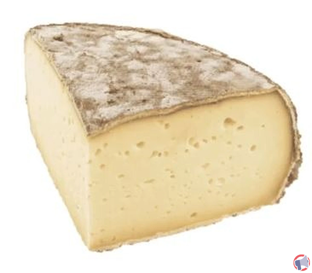 Rappel - tomme savoise 29 à haute teneur en matière grasse