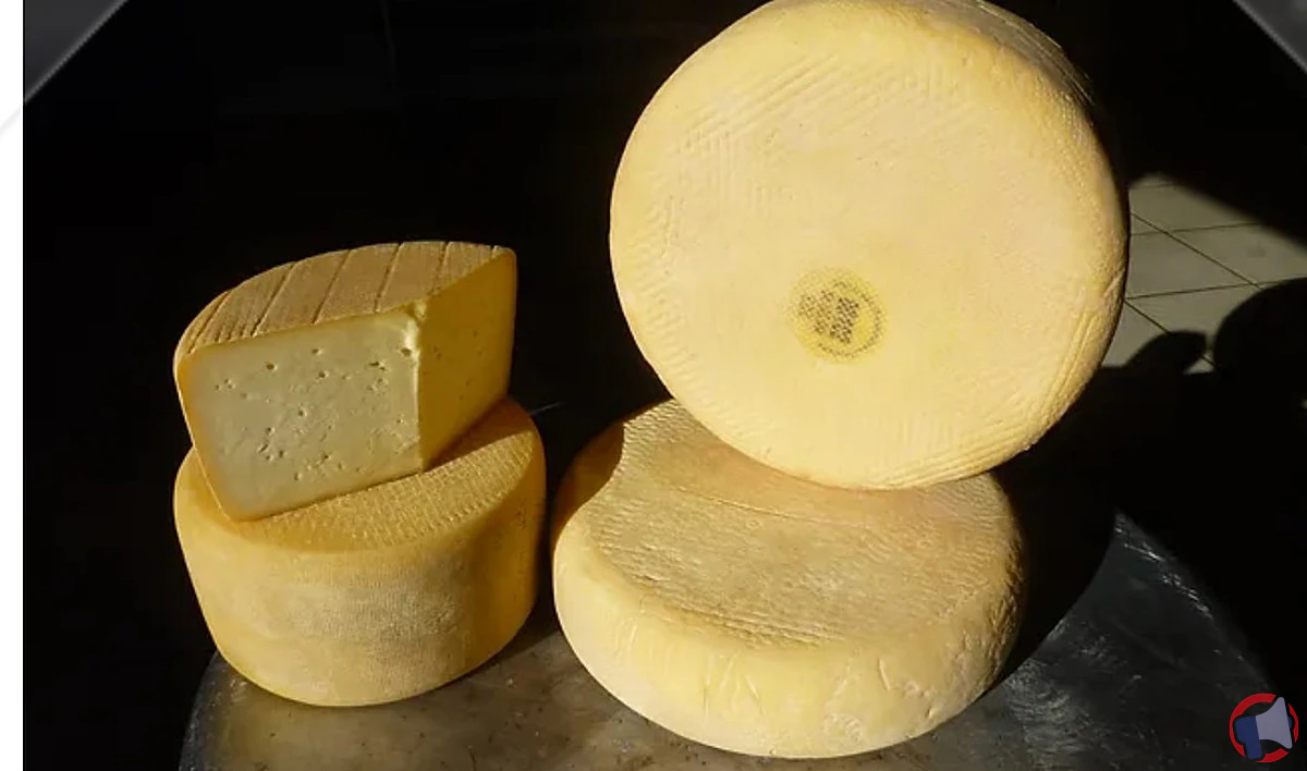 Rappel de produit : Tomme vache au lait cru potentiellement contaminée par la Listeria