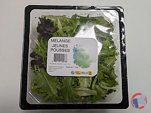 Rappel produit Mélange de jeunes pousses Top Légumes