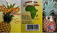 Rappel produit Ananas Pain de Sucre TOPEXO (photo numéro 1)