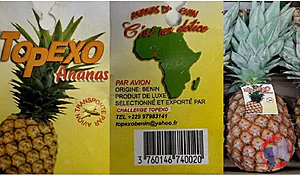 Rappel produit Ananas Pain de Sucre TOPEXO