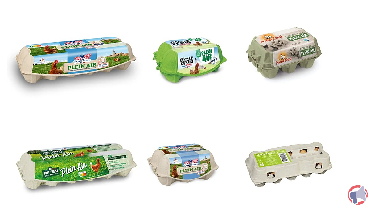 Rappel de produits : œufs de plusieurs marques potentiellement contaminés par Salmonella