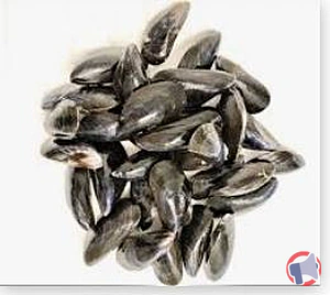 Rappel produit MOULES DE BOUCHOT U