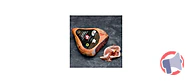 Rappel produit u saveurs jambon de bayonne