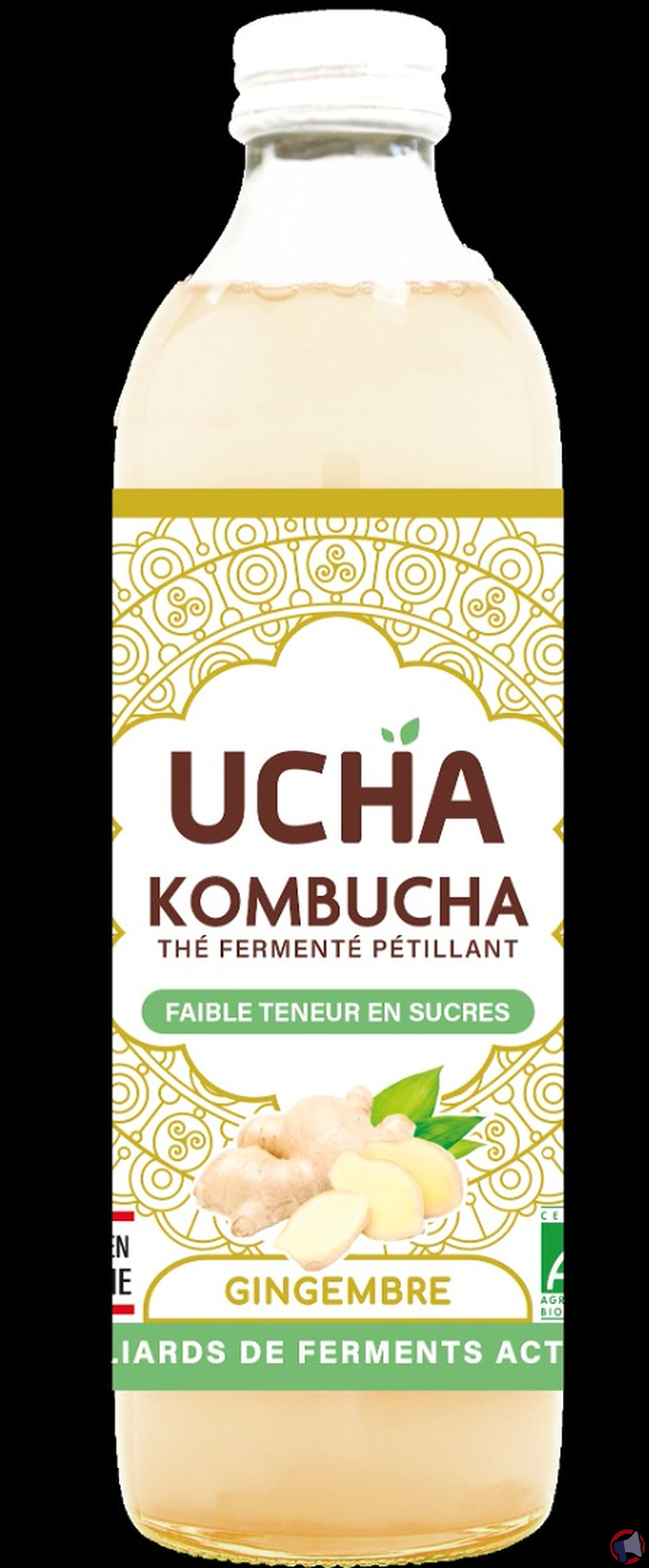 Rappel ucha ucha kombucha gingembre 35 cl : ce qu’il faut faire