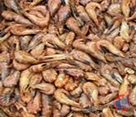 Rappel produit CREVETTES GRISES CUITES NON DECORTIQUEES JUMBO MSC S-AT VAN BELZEN BV - Distributeur ZEELANDIA (photo numéro 1)