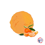 Rappel produit SORBET PLEIN FRUIT MANDARINE 2.5L VAN DEN CASTEELE