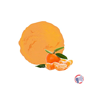 Rappel produit SORBET PLEIN FRUIT MANDARINE 2.5L VAN DEN CASTEELE