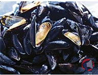 Rappel produit Vente assistée Moules de corde Espagne