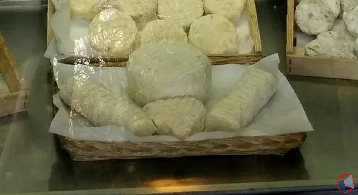 Rappel produit: Vente de détails et étiquettes sur les fromages chèvres lactiques — ce qu'il faut savoir