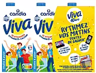 Rappel produit VIVA 1% MG 10 Vitamines – Brique 1L x 6 Viva Candia (photo numéro 1)