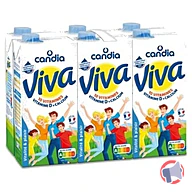 Rappel produit VIVA 1% MG 10 Vitamines – Brique 1L x 6 Viva Candia (photo numéro 2)