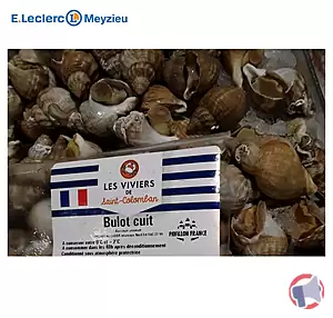 Rappel produit Bulot cuit LES VIVIERS de SAINT COLOMBAN