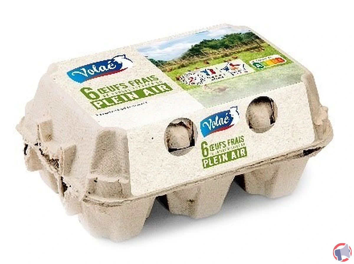 Rappel de produits : œufs plein air de la marque Volae pour suspicion de salmonelle