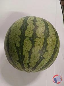 Rappel produit PASTEQUE Vrac