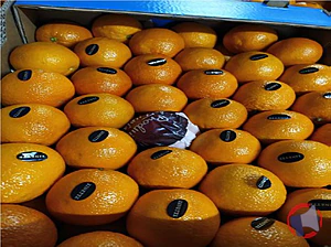 Rappel produit Orange Maltaise cat.1 Tunisie Zinette